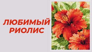 : 22    .