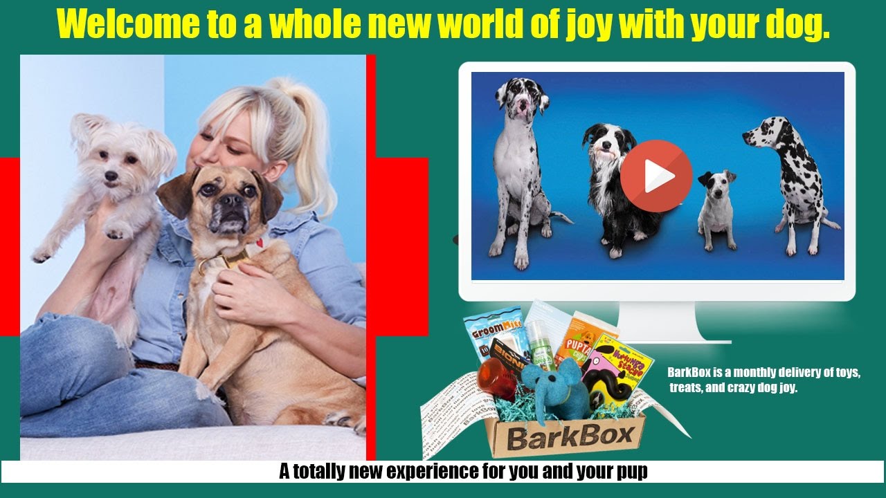 Give your dog the joy of a million belly- scratches with BarkBox☑