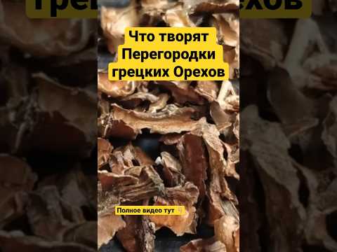 Уникальные Свойства Перегородок Грецких Орехов. Как правильно приготовить отвар и настойку!