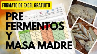 ¿Cuánto prefermento usar y cómo alimentar la masa madre? Formato de excel GRATUITO 😎