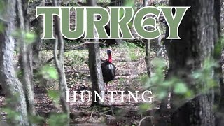 TURKEY HUNTING | 2024 SEASON HUNT 1