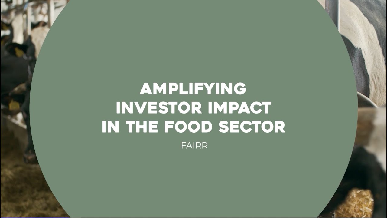 Amplifying Investor Impact In The Food Sector | FAIRR | Investing for Tomorrow's Environment