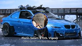 Bass Boosted Florin Salam & Ork. Vigeay - Ceas Elvețian