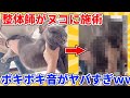 【2ch動物スレ総集編】猫専門の整体を受けたヌコ→想像以上のボキボキ音がwwwww