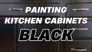 How To Paint Kitchen Cabinets BLACK - Watch The Stunning Makeover!