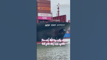 Tàu container rời bến hành trình đi nước ngoài.#thinhhanh #short #viral