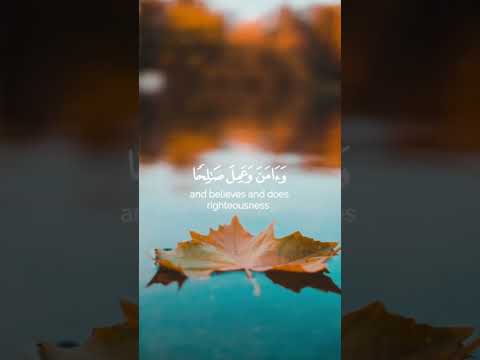 وإنى لغفار لمن تاب القارئ شريف مصطفى