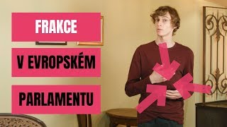 Frakce v Evropském parlamentu | #GiveAVote