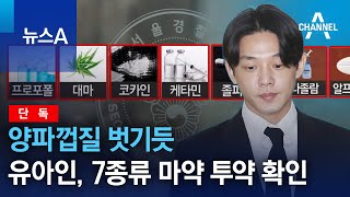 [단독]양파껍질 벗기듯…유아인, 7종류 마약 투약 확인 | 뉴스A