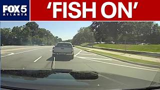 Police deployment of heavy duty tether stops suspect truck | FOX 5 News