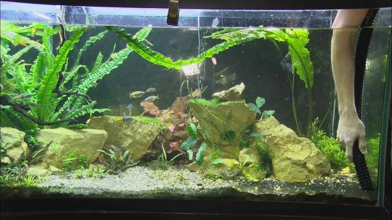 How to remove fish tank gravel, Aquarium gravel cleaning options YouTube