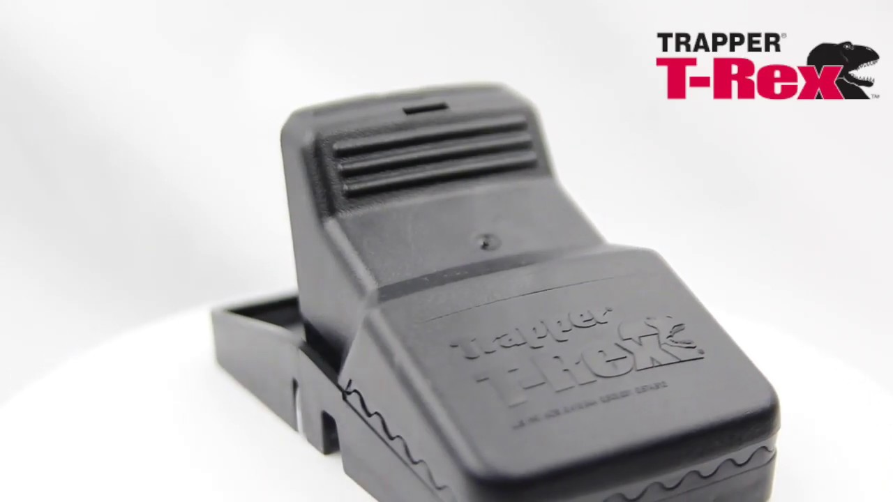 Trapper Mini Rex - Where to buy Trapper Mini T-REX Snap Trap for
