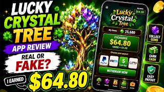 Lucky Crystal Tree ऐप रिव्यू | असली या नकली? ईमानदार पेमेंट विश्लेषण screenshot 3