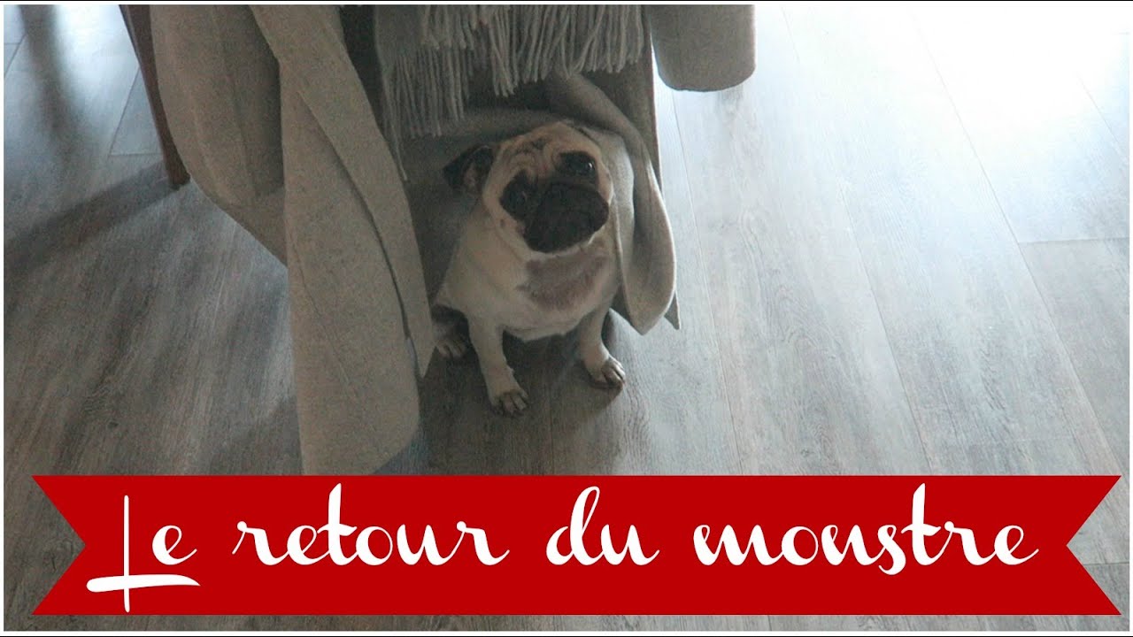 LE RETOUR DU MONSTRE ♡ VLOGMAS 13 - YouTube