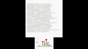 Gibbs sampling for motif inference (deterministic, 50 iterations)