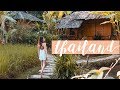 Die Jungs machen wieder Quatsch, süßester Hund &amp; Eco Resort - Thailand Vlog Teil 2
