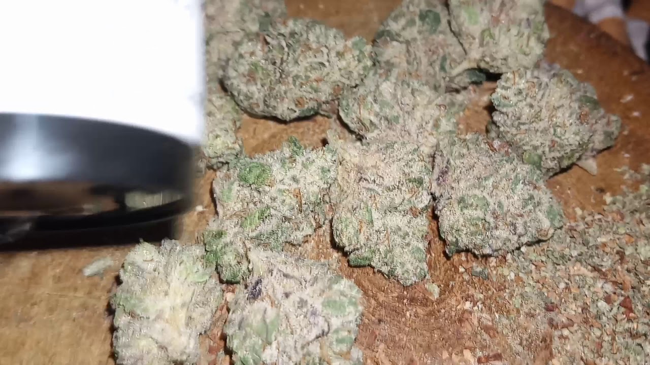 Carmichael kush 🔥 exotic strain