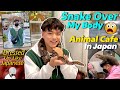  sarpai sarpa ko cafe    visiting animal cafes in japan  abishek gurung