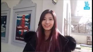 Sana Rawr for Wallpaper Engine + Links screenshot 5