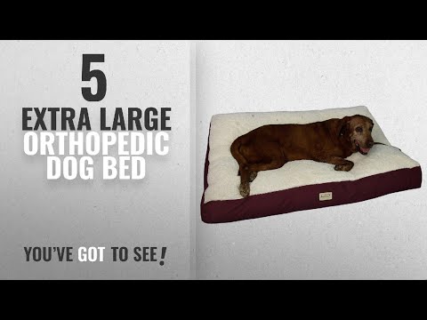 top-5-extra-large-orthopedic-dog-bed-[2018-best-sellers]:-armarkat-pet-bed-mat-49-inch-by-35-inch-by