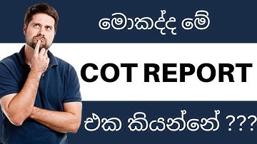 COT REPORT EXPLAINED | SMART MONEY CONCEPTS IN FOREX | FOREX FOR BEGINNERS