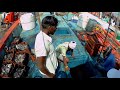 Lets go inside the fishing vessels cold storage  cuttlefish