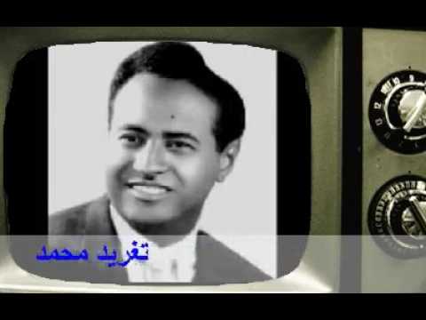 ابراهيم عوض بى حنينى تغريد محمد