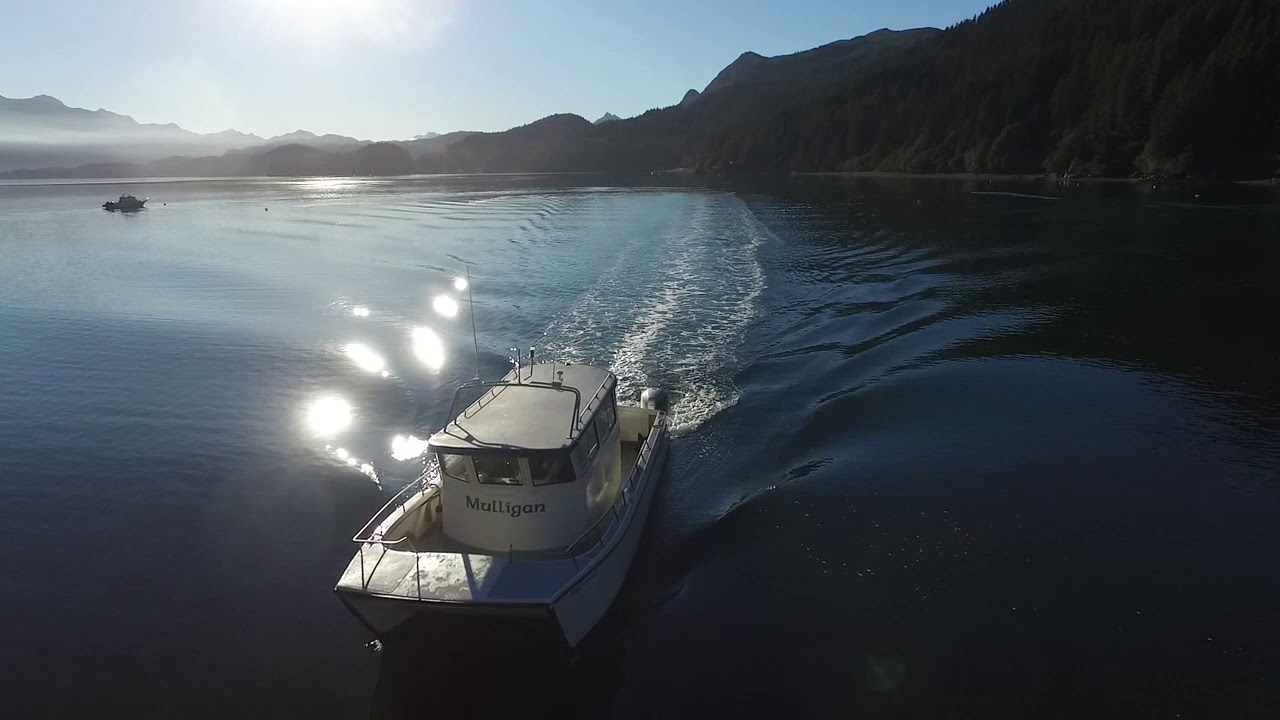 Between Beaches Seldovia Cabin Rentals YouTube