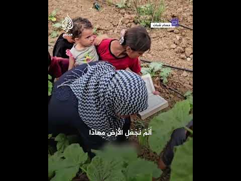 امرأة من غزة تزرع بصحبة أطفالها وترتل معهم آيات من القرآن الكريم