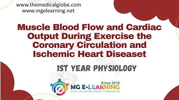 Muscle Blood Flow and Cardiac Output During Exercise the Coronary Circulation |Chapter 21| |Physiol|