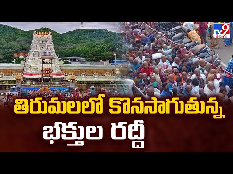 తిరుమలలో కొనసాగుతున్న భక్తుల రద్దీ | Tirumala - TV9 - TV9