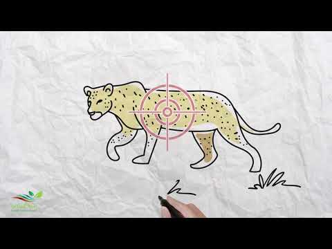 التوازن البيئي