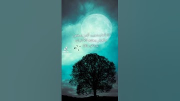 من سورة الأنعام تلاوة هادئة