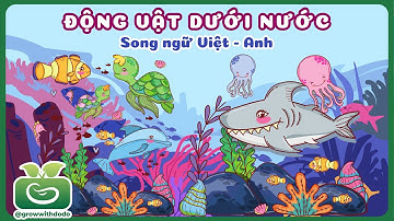 Bé tìm hiểu Tên gọi ĐỘNG VẬT SỐNG DƯỚI NƯỚC | Song ngữ Việt - Anh | Aquatic Animals for Kids