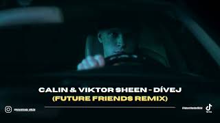 Calin & Viktor Sheen - Dívej (FUTURE FRIENDS REMIX)
