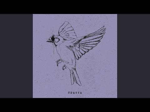 Watch Groove Widow on YouTube
