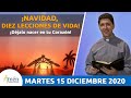 Padre Carlos Yepes Reflexión Martes 15 De Diciembre De 2020. Navidad: Déjalo Nacer En Tu Corazón.
