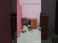 day 1 series of room decoration ❣️ #decoration #ytshorts #viral #support