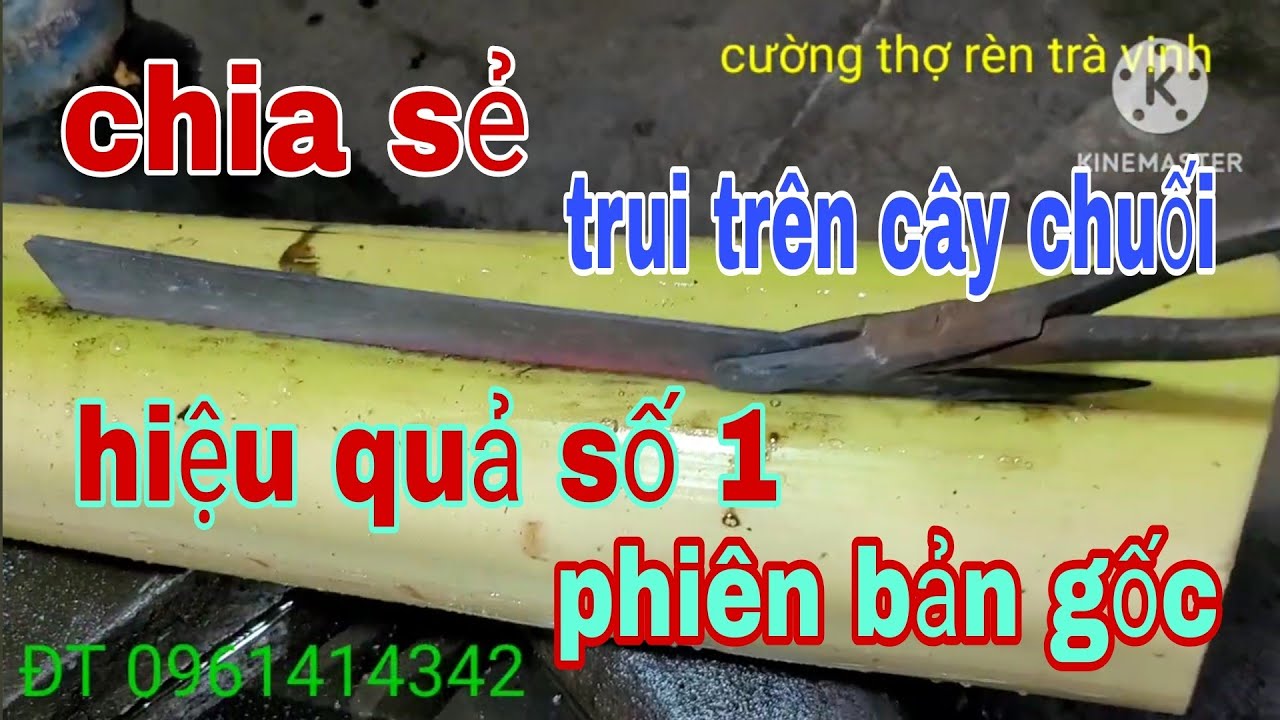 Chia Sẻ,Kỹ thuật,Trui dao Trên CÂY CHUỐI SIM, làm tại nhà, ai làm cũng được