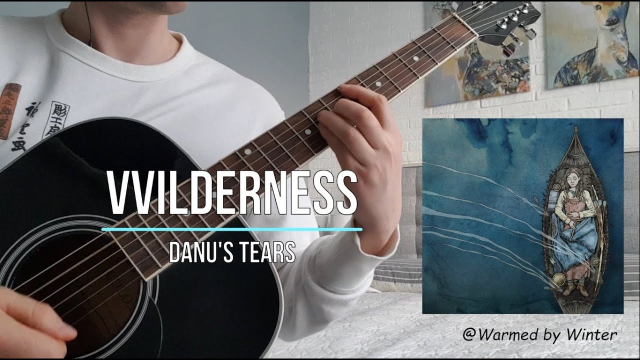 Vvilderness - Danu's Tears (guitar cover)