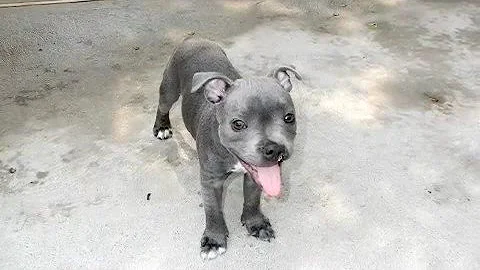 Raging Rukus, aka "Lippy" or "The Lip."