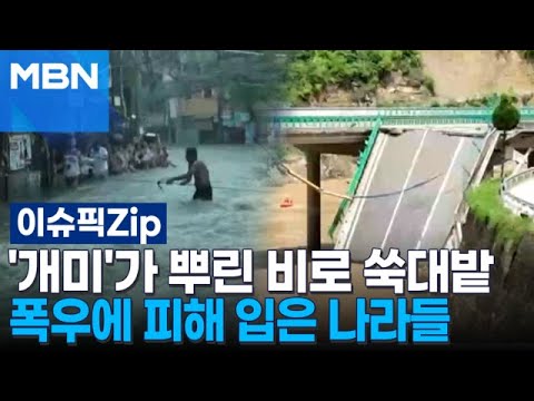 &amp;#39;개미&amp;#39;가 뿌린 비로 쑥대밭, 폭우에 피해 입은 나라들 | 이슈픽 zip