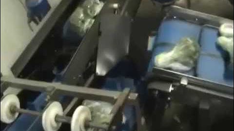 Brocoli Packing with StretchPack: Cost Efficient & Longer Shelflife