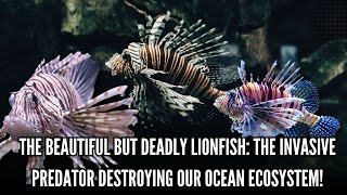 Lionfish: The Beautiful Invader of the Ocean#fish