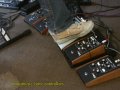 MP-201 Multi-Pedal  - Basic Moogerfooger Applications