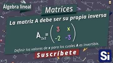 Encuentre x tal que la matriz A sea su propia inversa | Matrices invertibles