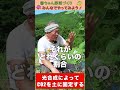 光合成ってスゴい!【おうちで元気な無農薬野菜を育てよう】 #shorts