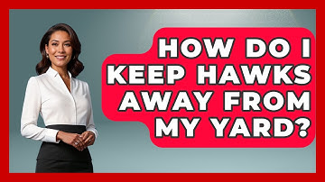 How Do I Keep Hawks Away From My Yard? - Bird Watching Diaries