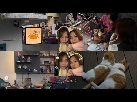 Đà Lạt 11 ngày (p1) // đổi chỗ làm việc thật chill ⋆。゚☁︎。⋆𓂃 ོ☼𓂃