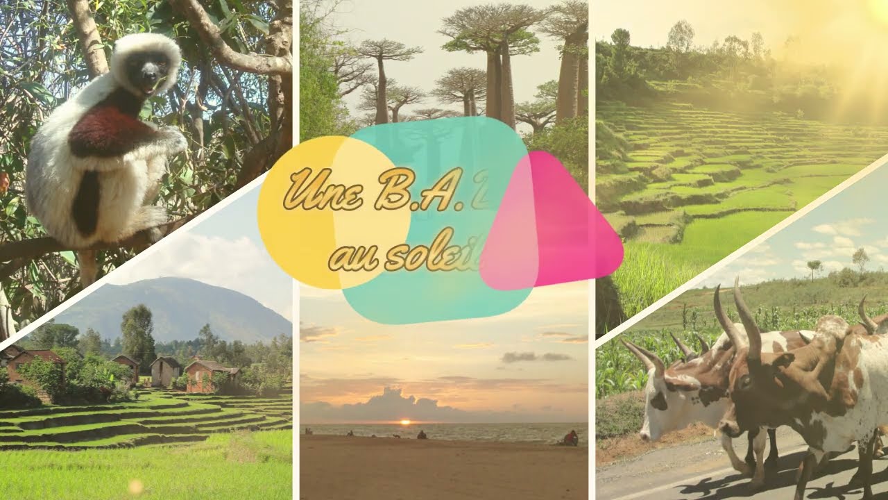 Découverte du terrain